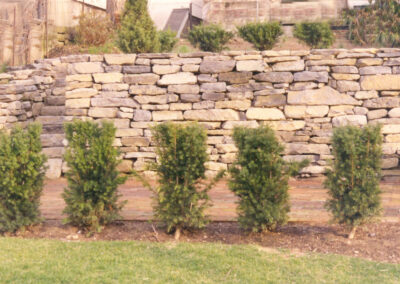 Walls Delany Landscaping